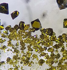 Single crystals of uranium tetrachloride (field of view about 7 mm) UCl4 single crystals.jpg