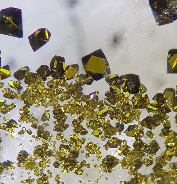 File:UCl4 single crystals.jpg