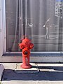 Une bouche d'incendie devant Roc Eclerc - Avenue Berthelot (wikimédiens dans le reflet).jpg