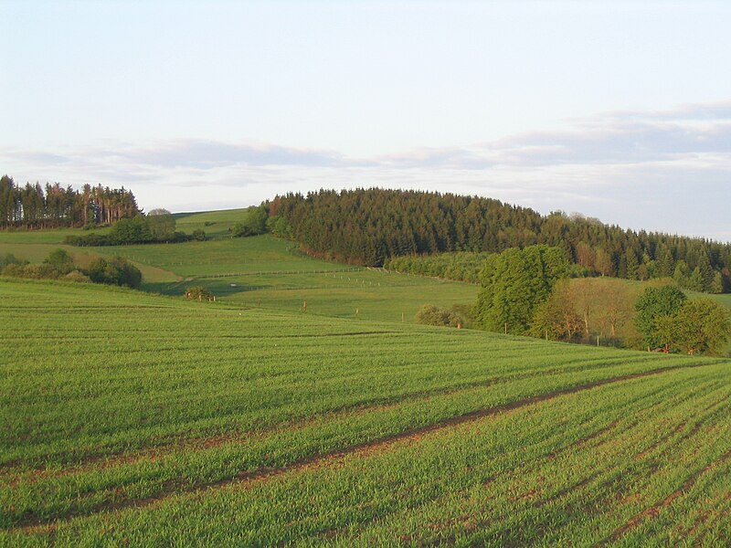 File:Völzberger Köpfchen.JPG