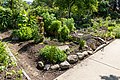 * Nomination Urban gardening on Comox Street in Vancouver, British Columbia, Canada --XRay 03:06, 9 August 2022 (UTC) * Promotion  Support Good quality -- Johann Jaritz 04:00, 9 August 2022 (UTC)