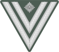 WMacht H OR4 StGefr 1935-1945.svg