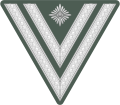 Rank insignia of Stabsgefreiter of the Wehrmacht.svg