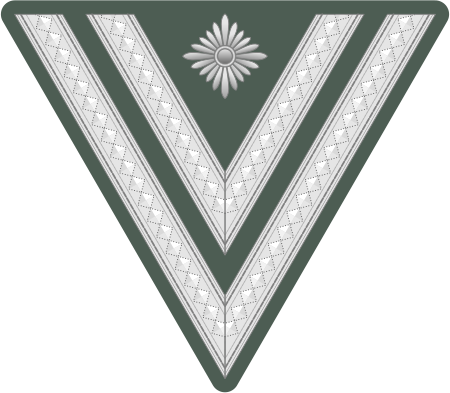 ไฟล์:Rank_insignia_of_Stabsgefreiter_of_the_Wehrmacht.svg