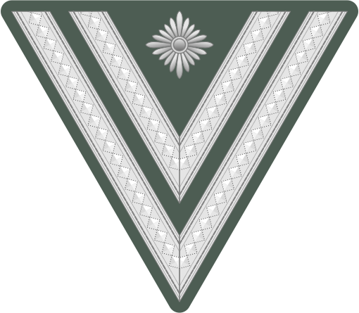 File:WMacht H OR4 StGefr 1935-1945.svg