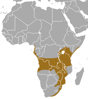 Jižní Afrika s výjimkou pouště Kalahari