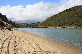 <span class="mw-page-title-main">Waimamaku River</span> River in New Zealand