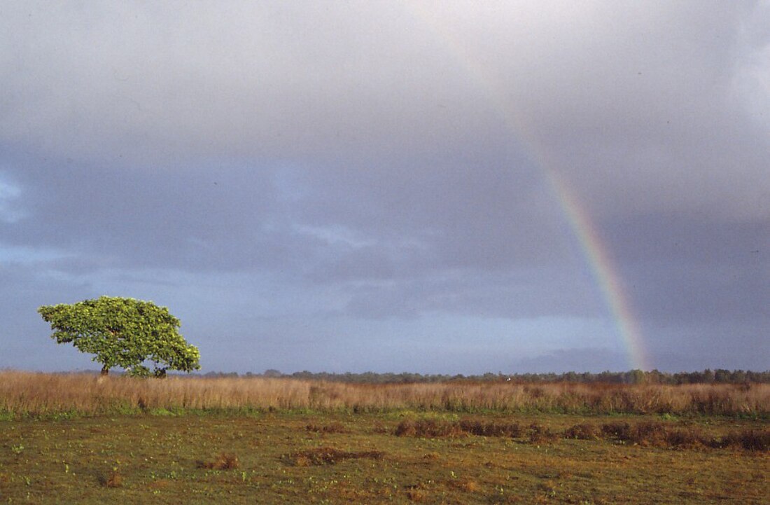 Parco nazionale di Wasur