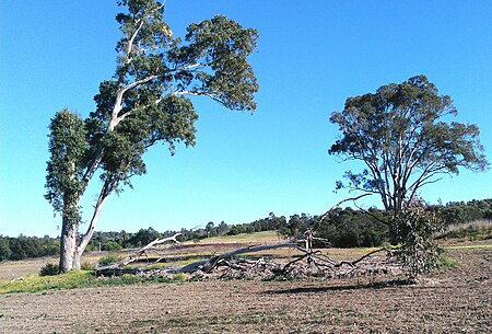 Western Sydney parklands