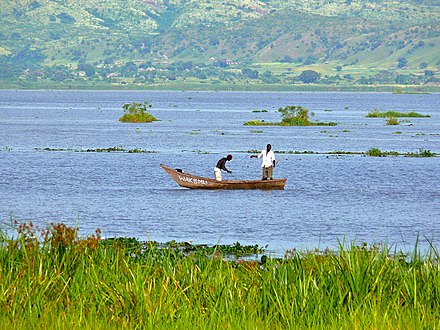 White Nile in Uganda