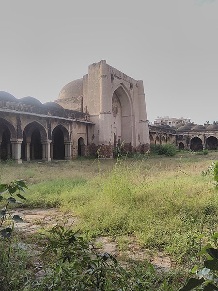 File:Wild Grass in Begumpuri Mosque.jpg