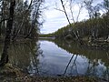 Миниатюра для Файл:Wild Teplostansky Pond.jpg