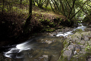 Wildcat Creek در سال 2011.jpg