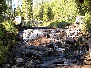 <span class="mw-page-title-main">Fremont–Winema National Forest</span> Protected area in the U.S. state of Oregon