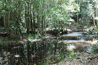 <span class="mw-page-title-main">Sherwood Nature Reserve</span> Protected area in New South Wales, Australia