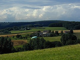 View of Frankholzhäuschen, on the left in the background Kohleiche