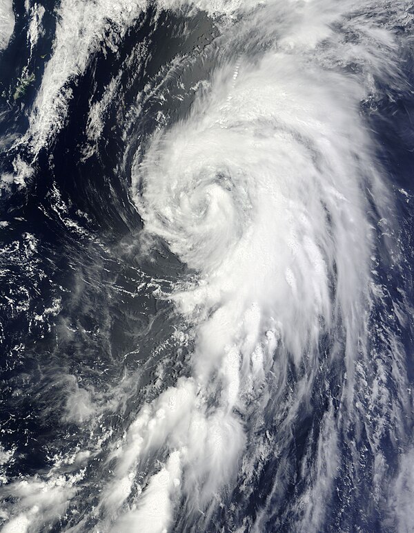 2013 Pacific typhoon season