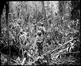 American soldiers advancing through the jungle, while on patrol in Japanese territory off the Numa-Numa Trail, 1 May 1944 "Cautiously advancing through the jungle, while on patrol in Japanese territory off the Numa-Numa Trail, this member of - NARA - 531184.tif