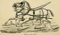 "Centaur" - or The "turn out," a practical treatise on the (humane) management of horses, either in harness, saddle, or stable; with hints respecting the harness-room, coach-house, &c (1885) (20399931668).jpg
