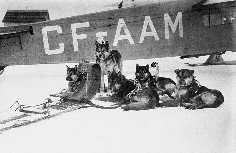 File:'Peace River Jim' Cornwall's dog team, Athabasca Landing, Alberta - na-2760-5.jpg