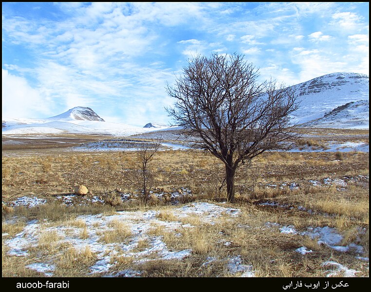 File:(((تنهایی))) - panoramio.jpg