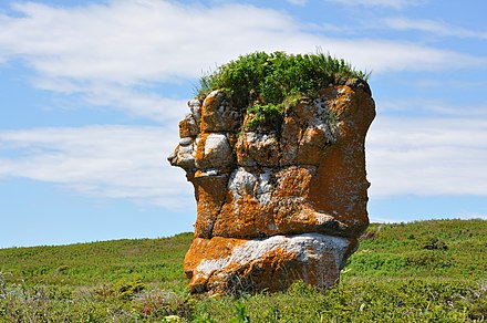 Naked island of Mingan located 4.3 km southeast of Longue-Pointe, at the western entrance to the Mingan Archipelago. This toponym evokes that the island is bare of trees.