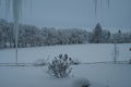 Winter landscape in Washington