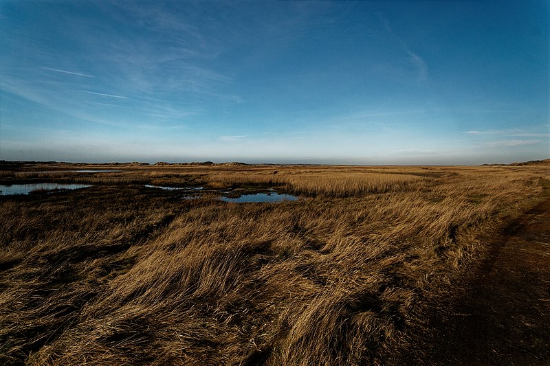 File:20110208-Slufterduinen3 DxO.jpg