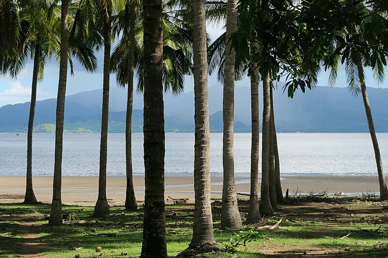 File:20160322150528 - Wawodora Bay through palm trees on the road to Sape (25681461880).jpg