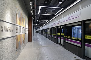 20181230奉贤新城站站台.jpg