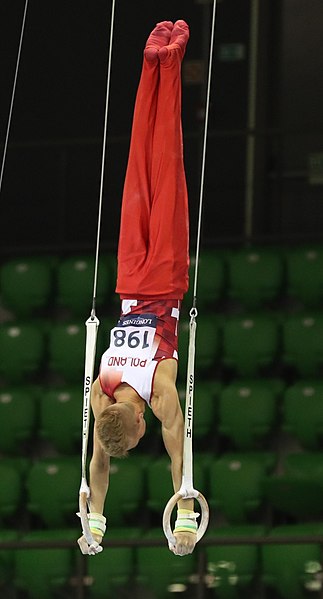 File:2019-06-27 1st FIG Artistic Gymnastics JWCH Men's All-around competition Subdivision 3 Still rings (Martin Rulsch) 021.jpg