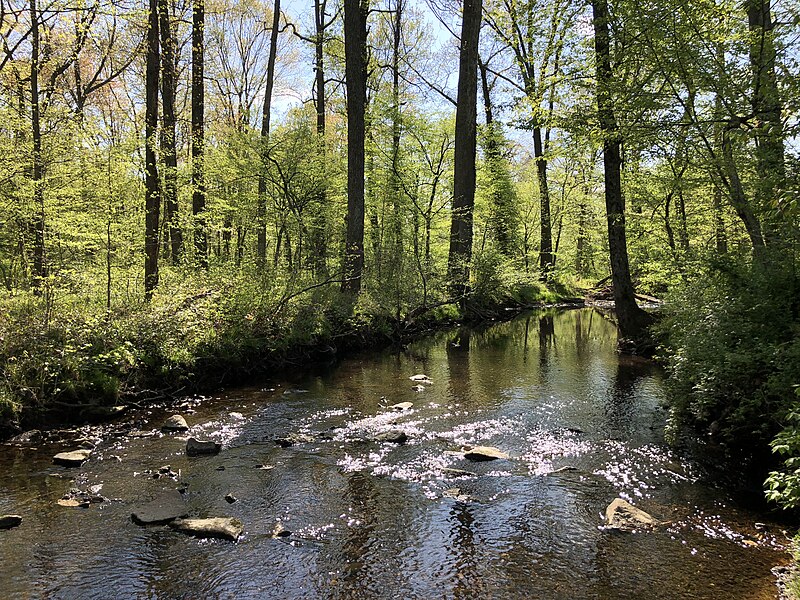 File:2021-04-20 16 32 33 View west down Big Rocky Run within Rocky Run Stream Valley Park in Greenbriar, Fairfax County, Virginia.jpg