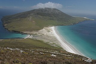 Saunders Island is the fourth largest of the Falkland Islands