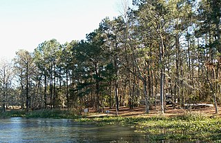 <span class="mw-page-title-main">Three Rivers State Park</span> State park in Florida, United States