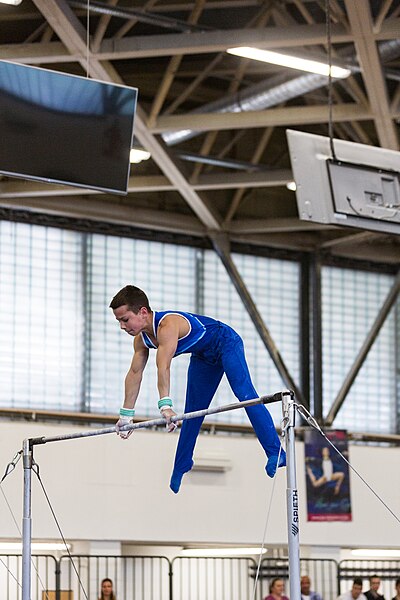 File:5th Budapest Cup 2019-05-25 Ivan Sevruk (Norman Seibert) - 02103.jpg