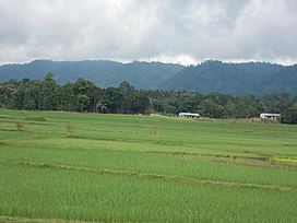 A view of Jampui Hills in the East from the plains of Kanchanpur.jpg