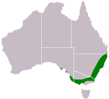 Acacia-longifolia-range-peta.png