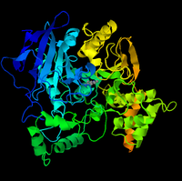 Acetylcholinesterase Rainbow.png