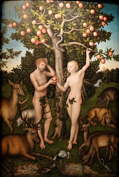 File:Adam and Eve Lucas Cranach the Elder.jpg