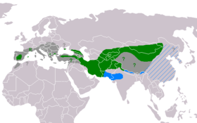* Green: Current resident breeding range. * Green ?: May still breed. * Green R: Re-introduction in progress. * Blue: Winter range; rare where hatched blue. * Dark grey: Former breeding range. * Dark grey ?: Uncertain former breeding range.