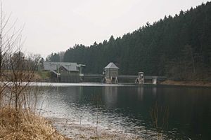 Ahauser Stausee Dam water side.jpg