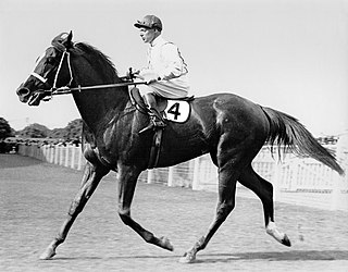 <span class="mw-page-title-main">Ajax Stakes</span> Horse race in Sydney, New South Wales