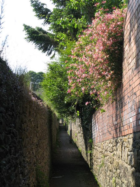 File:Alleyway east of Elvaston Road (3) - geograph.org.uk - 843432.jpg