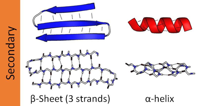 File:Alpha beta structure (full).png