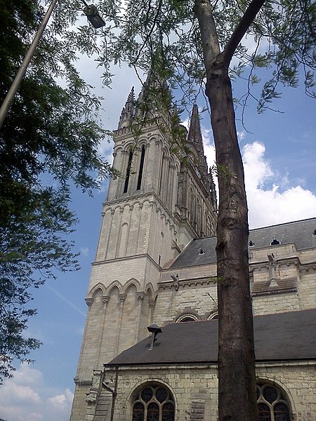 File:Angers Cathédrale Saint-Maurice - panoramio.jpg