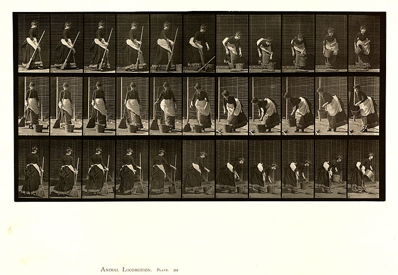 File:Animal locomotion. Plate 212 (Boston Public Library).jpg