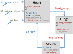 Temperature regulation: Leroi's model based on Youth and Old Age, Life and Death 26. Aristotle's heart temperature model.png