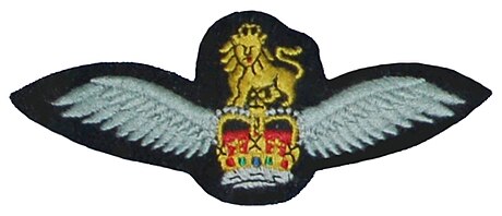 陸軍航空隊 (イギリス)