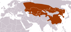 Asian Badger range