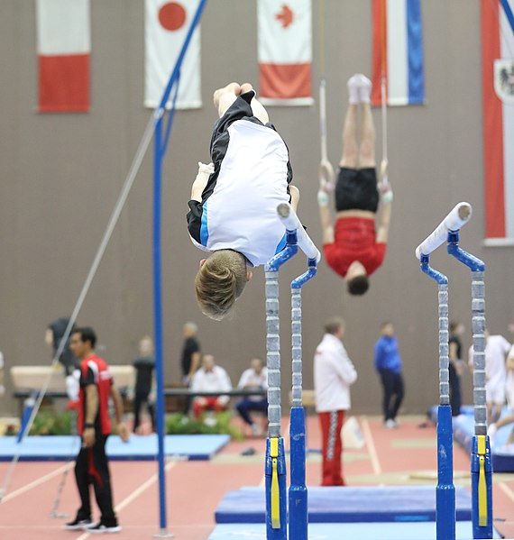 File:Austrian Future Cup 2018-11-23 Training Afternoon Parallel bars (Martin Rulsch) 0418.jpg